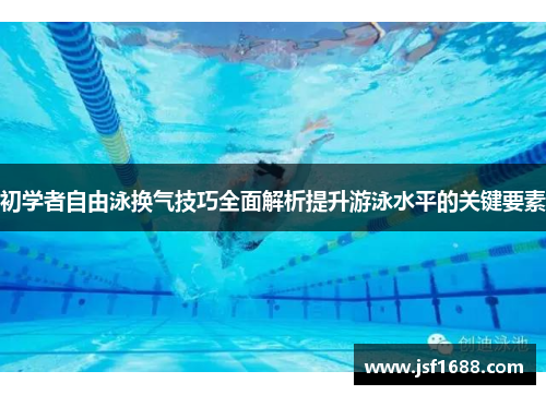 初学者自由泳换气技巧全面解析提升游泳水平的关键要素
