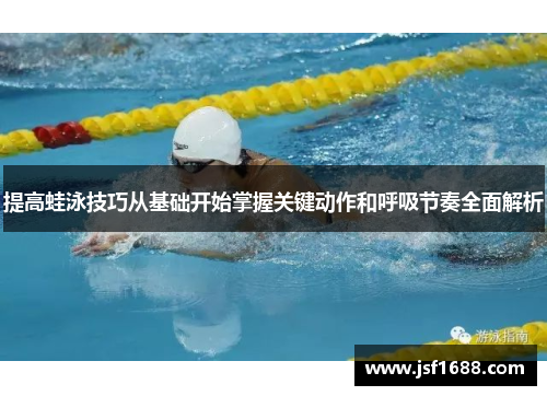 提高蛙泳技巧从基础开始掌握关键动作和呼吸节奏全面解析