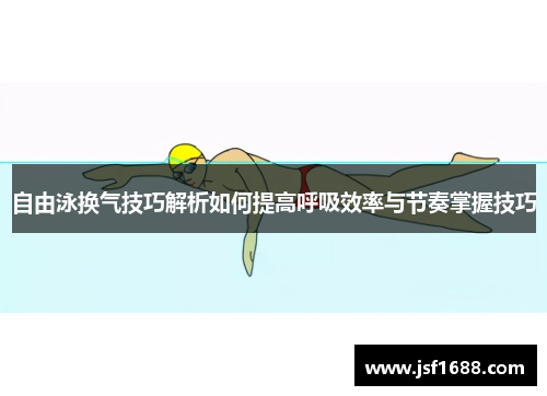 自由泳换气技巧解析如何提高呼吸效率与节奏掌握技巧