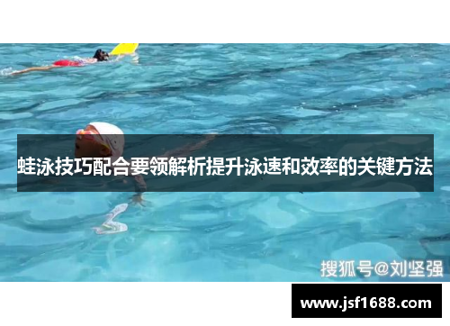 蛙泳技巧配合要领解析提升泳速和效率的关键方法